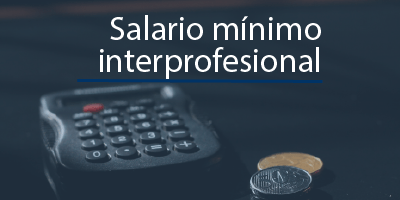 salario mínimo interprofesional